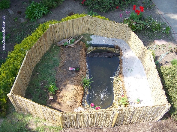 http://dessauwetter.de/galerie2/cache/vs_5%20Teich_Teich_4.JPG